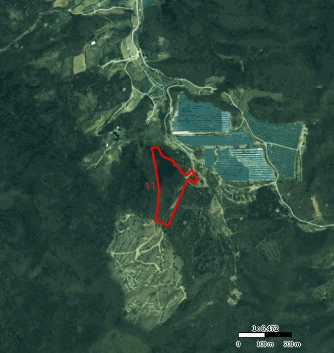 충청북도 제천시 덕산면 신현리 산52-1 임야 경매 사진 76