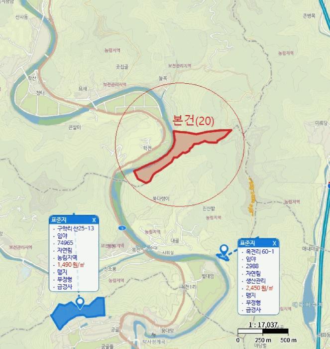 충청북도 제천시 덕산면 신현리 산52-1 임야 경매 사진 77