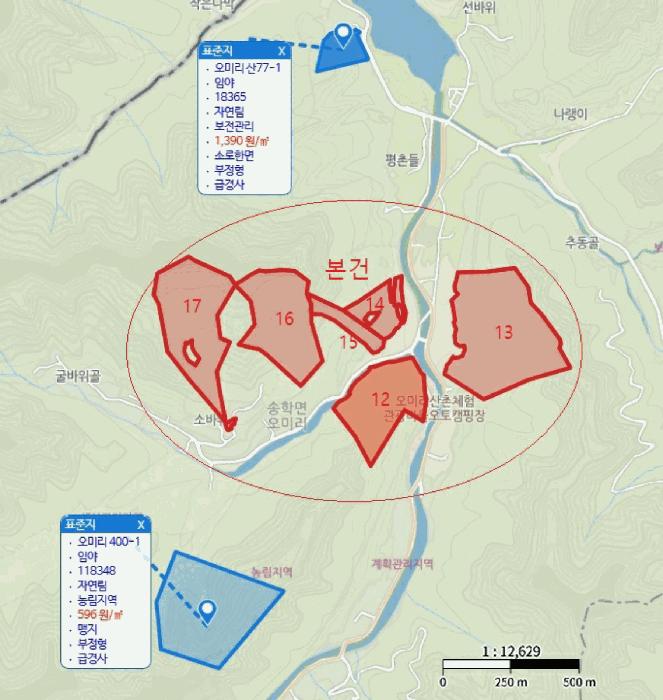 충청북도 제천시 덕산면 신현리 산52-1 임야 경매 사진 80