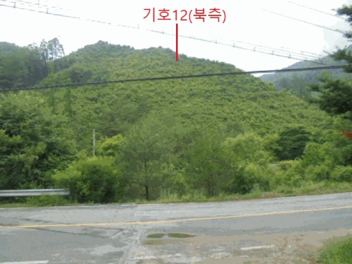 충청북도 제천시 백운면 운학리 산262-1 임야 경매 사진 37