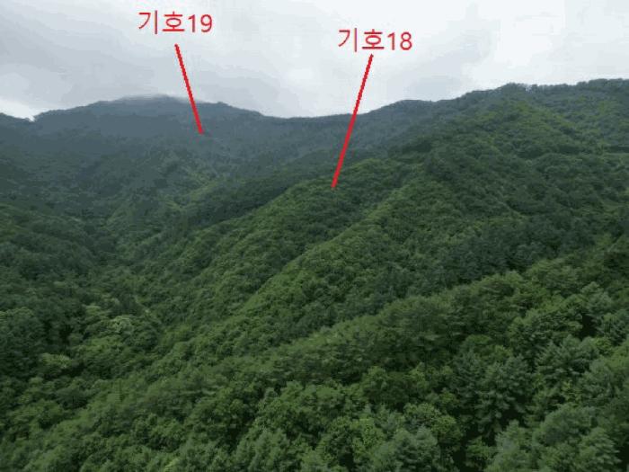 충청북도 제천시 백운면 운학리 산262-1 임야 경매 사진 41