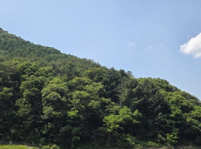 충청북도 제천시 백운면 운학리 산262-1 임야 경매 사진 57