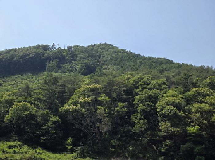 충청북도 제천시 백운면 운학리 산262-1 임야 경매 사진 64