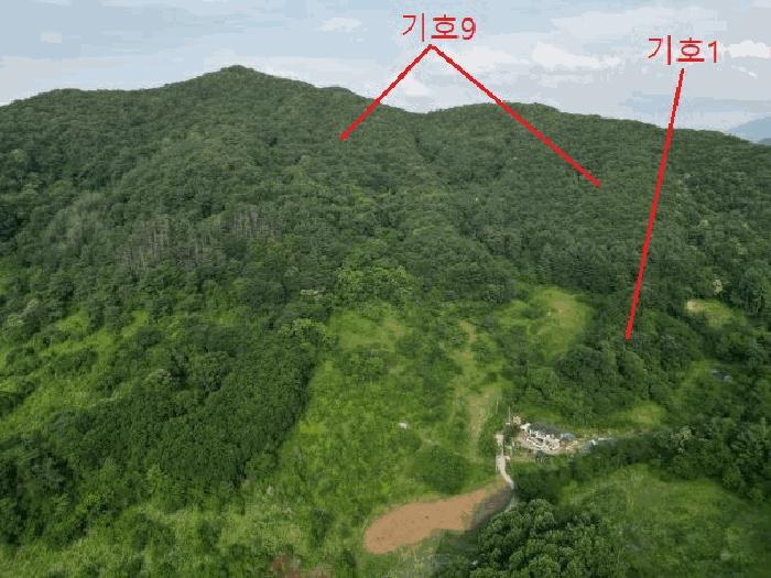 충청북도 제천시 백운면 운학리 산262-1 임야 경매 사진 71