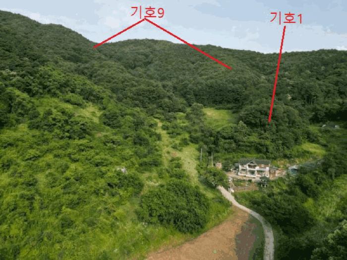 충청북도 제천시 봉양읍 구곡리 산181-4 임야 경매 사진 31