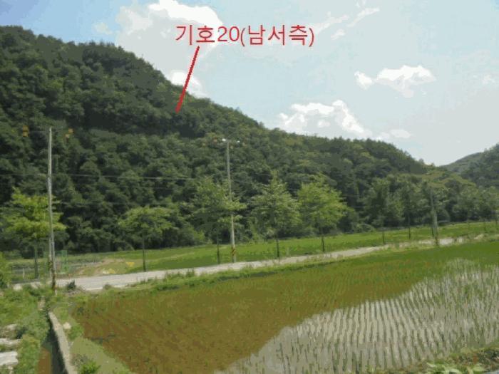 충청북도 제천시 봉양읍 구곡리 산181-4 임야 경매 사진 32