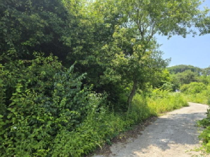 충청북도 제천시 봉양읍 구곡리 산181-4 임야 경매 사진 70