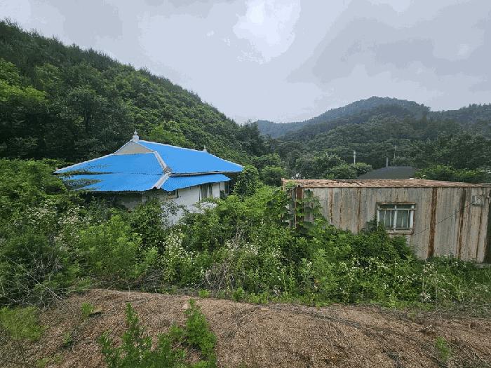 충청북도 제천시 대지