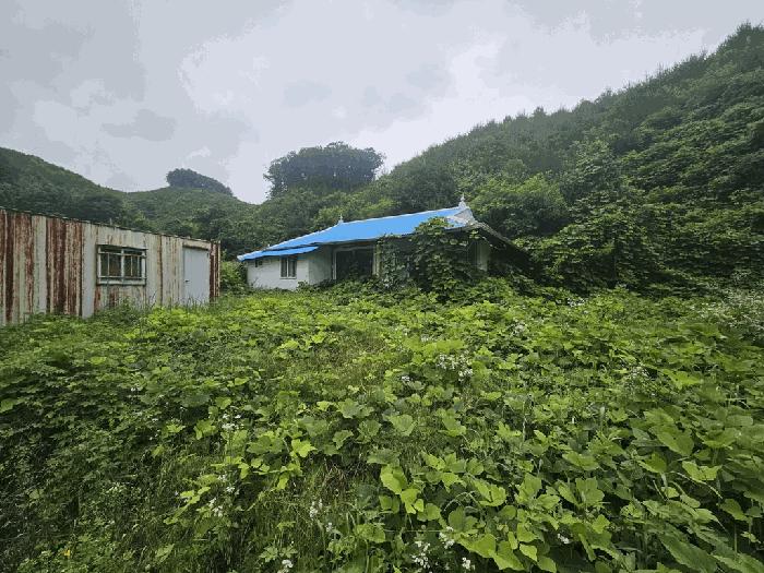 충청북도 제천시 금성면 활산리 180 대지 경매 사진 3