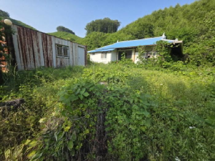 충청북도 제천시 금성면 활산리 180 대지 경매 사진 5