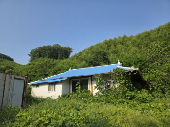 충청북도 제천시 금성면 활산리 180 대지 경매 사진 6