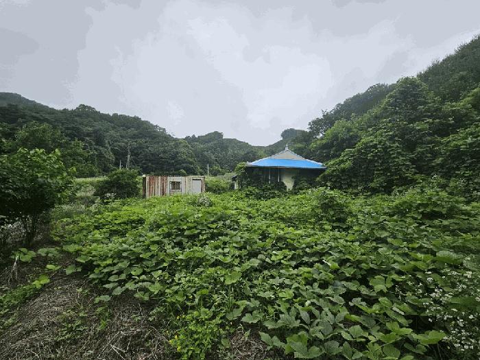 충청북도 제천시 금성면 활산리 180 대지 경매 사진 8