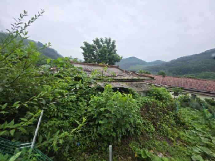 충청북도 제천시 봉양읍 옥전리 437 답 경매 사진 10