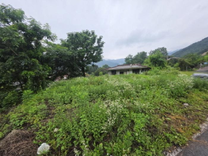 충청북도 제천시 봉양읍 옥전리 437 답 경매 사진 11