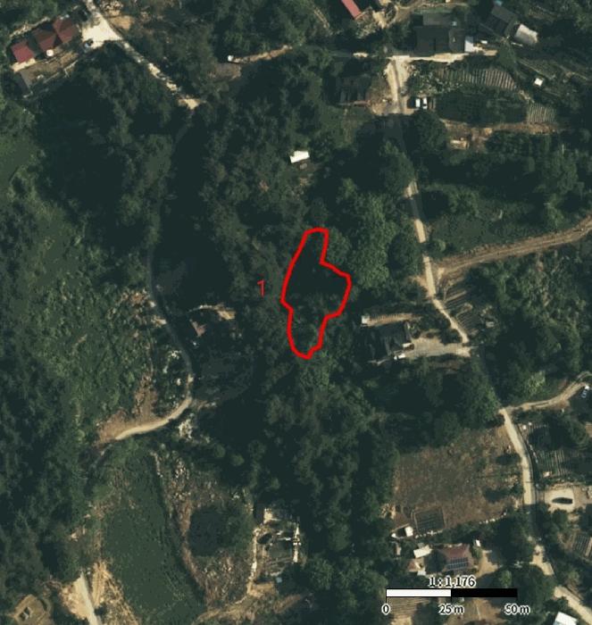 충청북도 제천시 봉양읍 옥전리 437 답 경매 사진 16