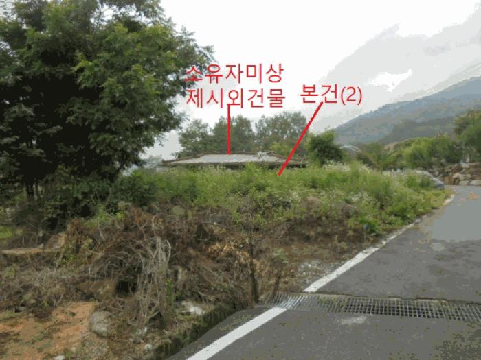충청북도 제천시 봉양읍 옥전리 437 답 경매 사진 2