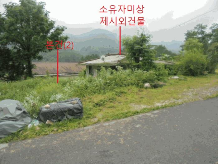 충청북도 제천시 봉양읍 옥전리 437 답 경매 사진 4