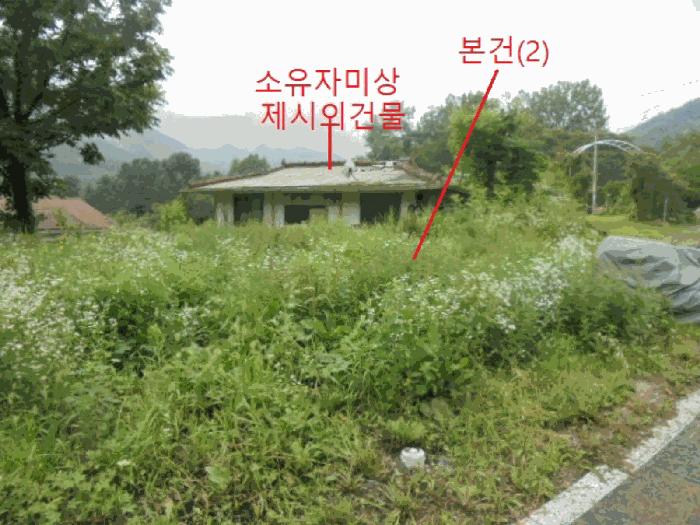 충청북도 제천시 봉양읍 옥전리 437 답 경매 사진 6