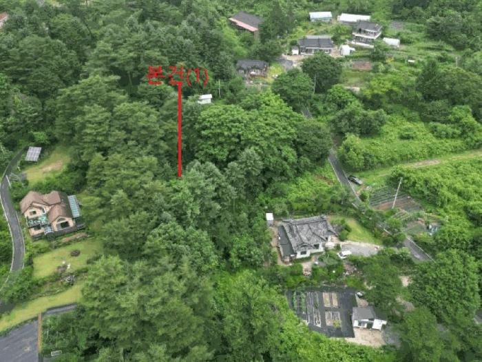 충청북도 제천시 봉양읍 옥전리 437 답 경매 사진 7