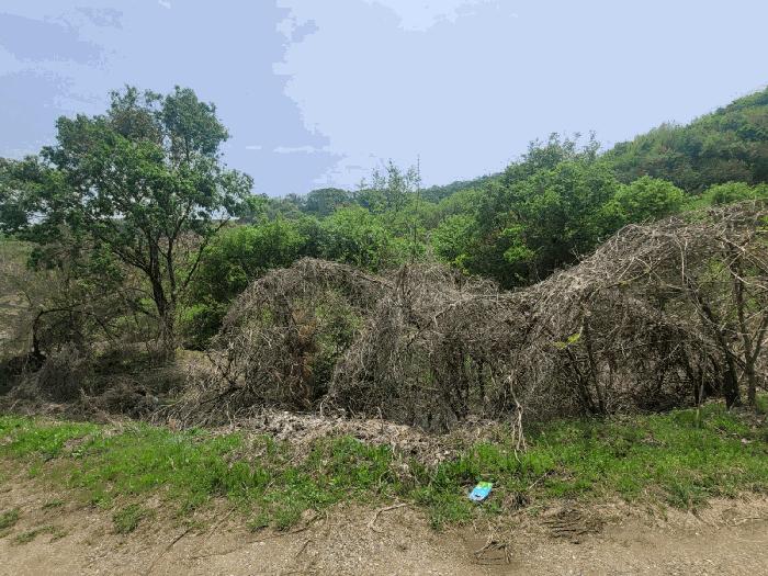 충청남도 천안시 동남구 광덕면 신덕리 226-1 답 경매 사진 10