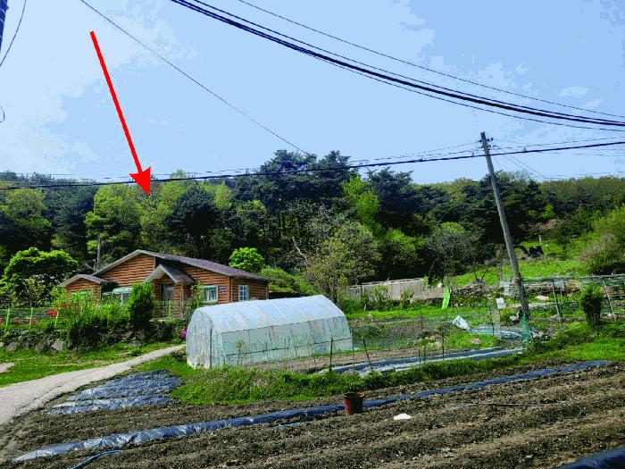 충청남도 천안시 동남구 광덕면 신덕리 226-1 답 경매 사진 12