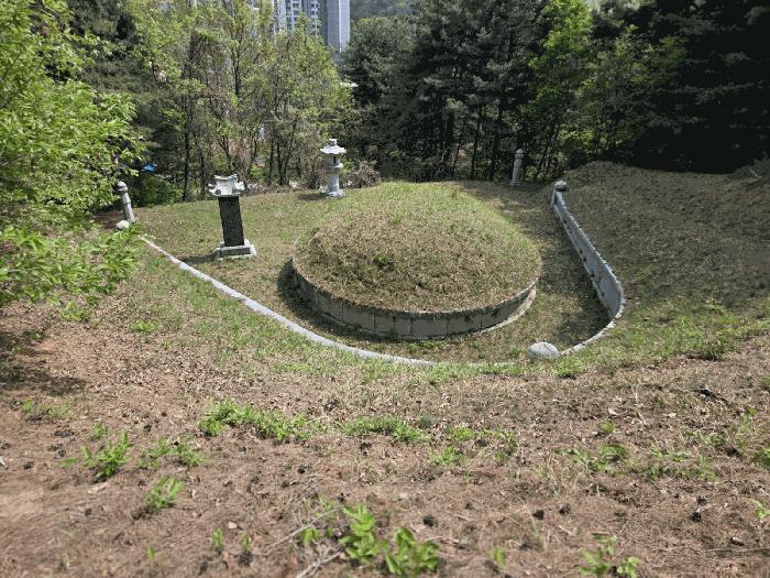 충청남도 천안시 동남구 광덕면 신덕리 226-1 답 경매 사진 13
