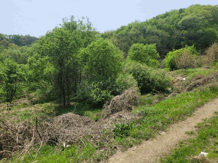 충청남도 천안시 동남구 광덕면 신덕리 226-1 답 경매 사진 2