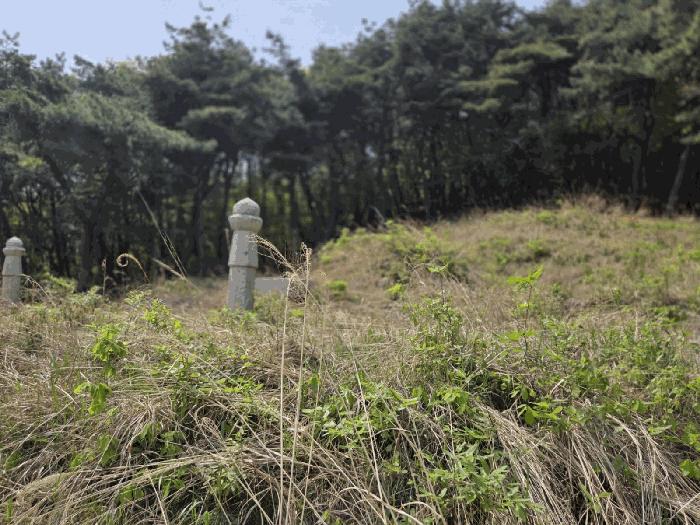 충청남도 천안시 동남구 광덕면 신덕리 226-1 답 경매 사진 20