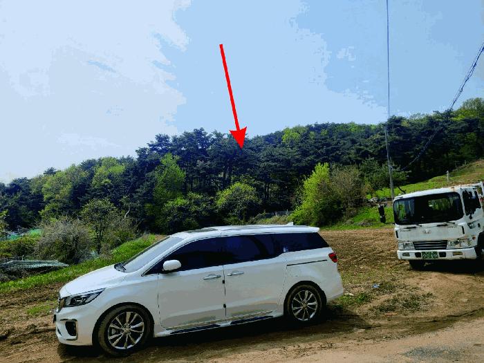 충청남도 천안시 동남구 광덕면 신덕리 226-1 답 경매 사진 5