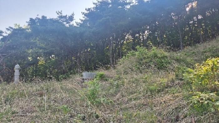충청남도 천안시 동남구 광덕면 신덕리 226-1 답 경매 사진 62