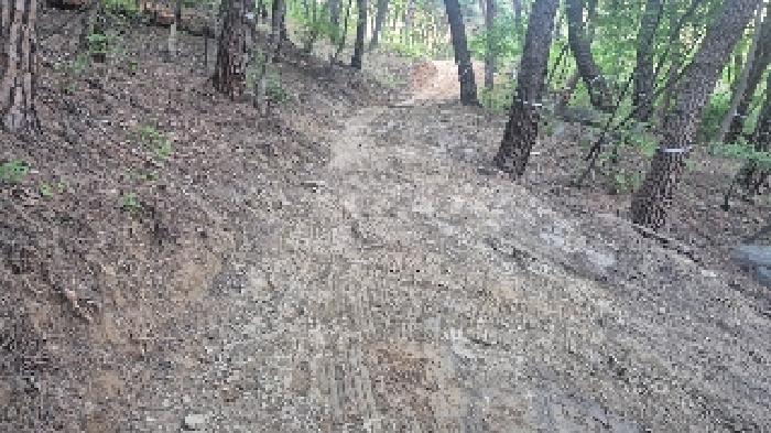 충청남도 천안시 동남구 광덕면 신덕리 226-1 답 경매 사진 63
