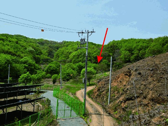 충청남도 천안시 동남구 광덕면 신덕리 226-1 답 경매 사진 8