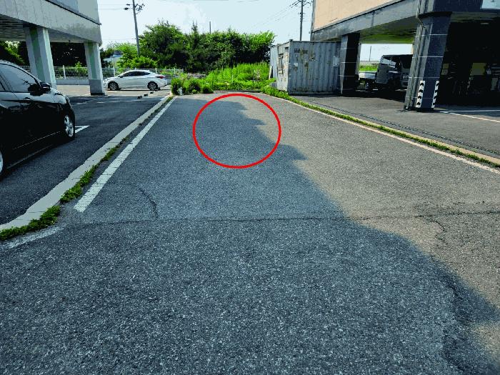 충청남도 아산시 둔포면 신양리 259-38 임야 경매 사진 10