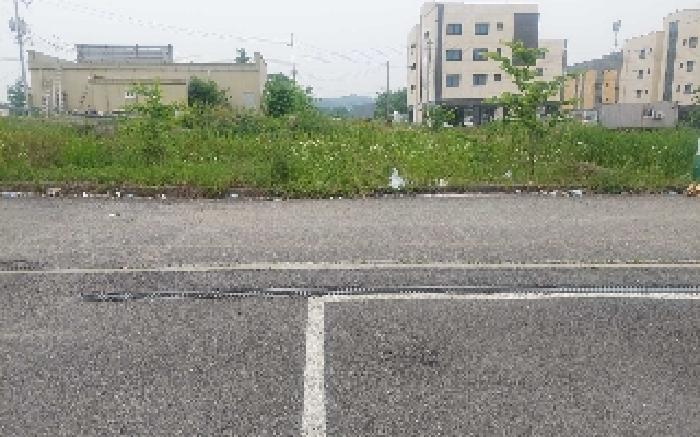 충청남도 아산시 둔포면 신양리 259-38 임야 경매 사진 15