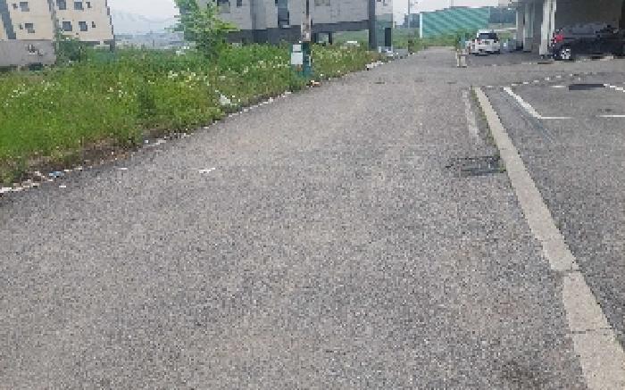 충청남도 아산시 둔포면 신양리 259-38 임야 경매 사진 17