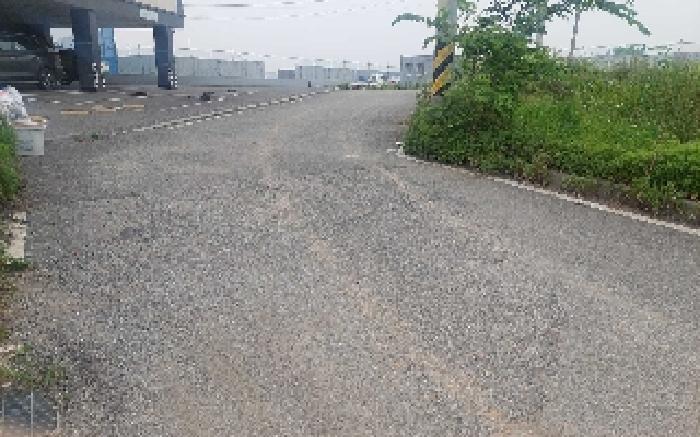 충청남도 아산시 둔포면 신양리 259-38 임야 경매 사진 18