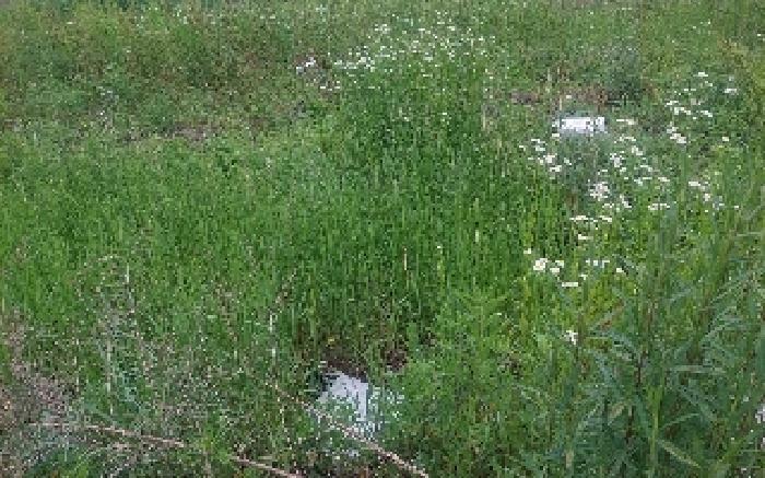 충청남도 아산시 둔포면 신양리 259-38 임야 경매 사진 21