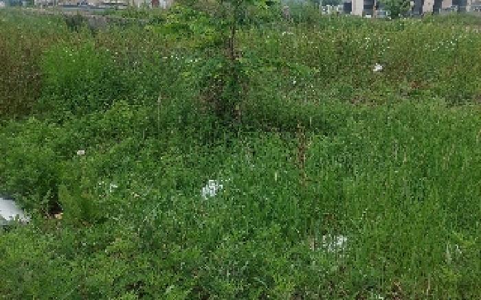충청남도 아산시 둔포면 신양리 259-38 임야 경매 사진 24