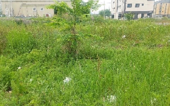충청남도 아산시 둔포면 신양리 259-38 임야 경매 사진 25