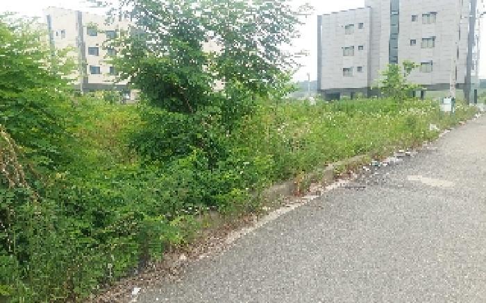 충청남도 아산시 둔포면 신양리 259-38 임야 경매 사진 26