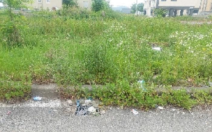 충청남도 아산시 둔포면 신양리 259-38 임야 경매 사진 27