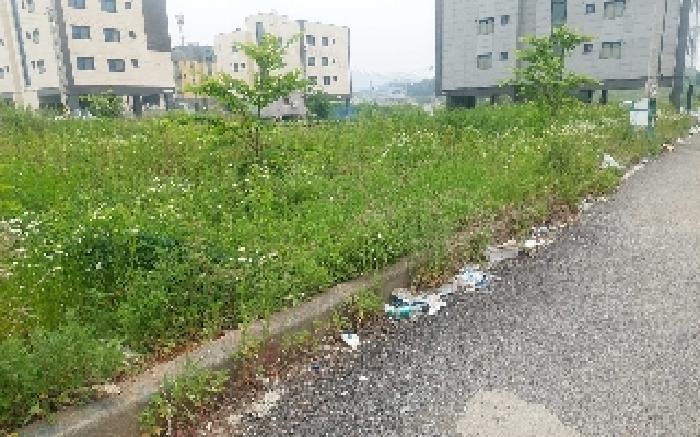 충청남도 아산시 둔포면 신양리 259-38 임야 경매 사진 28