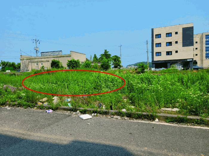 충청남도 아산시 둔포면 신양리 259-38 임야 경매 사진 6
