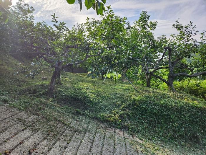 경상남도 사천시 사천읍 금곡리 360-12 답 경매 사진 13