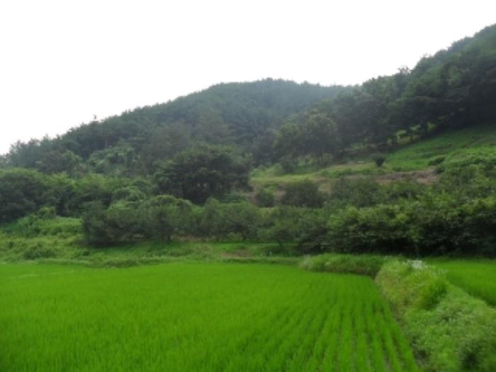 경상남도 사천시 사천읍 금곡리 360-12 답 경매 사진 28