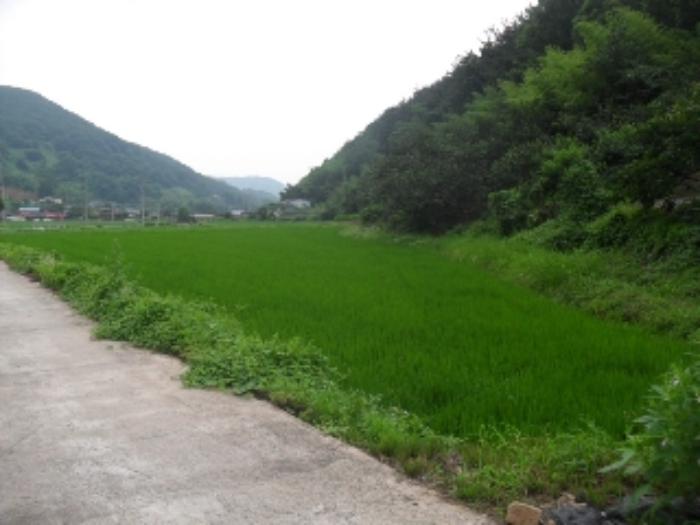 경상남도 사천시 사천읍 금곡리 360-12 답 경매 사진 29