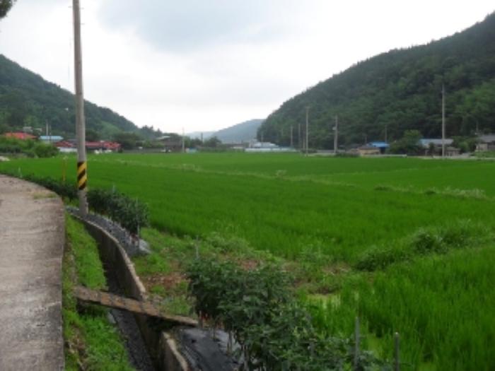 경상남도 사천시 사천읍 금곡리 360-12 답 경매 사진 30