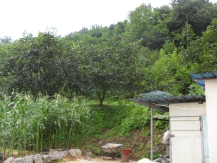 경상남도 사천시 사천읍 금곡리 360-12 답 경매 사진 36