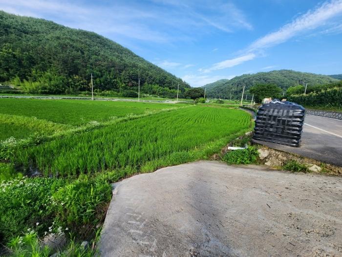 경상남도 사천시 사천읍 금곡리 360-12 답 경매 사진 4
