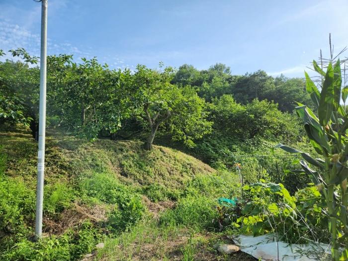 경상남도 사천시 사천읍 금곡리 360-12 답 경매 사진 9